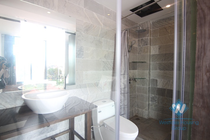 Nice studio with characters for rent in Tay Ho Westlake
